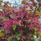 新年度スタート♪